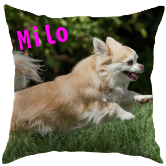 Perna personalizata cu fotografie, Cadou bunici, Cadou nași, Cadou familie, Cadou prieteni, Cadou aniversare, Milo